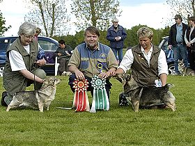 honden fokkers en hond foto's